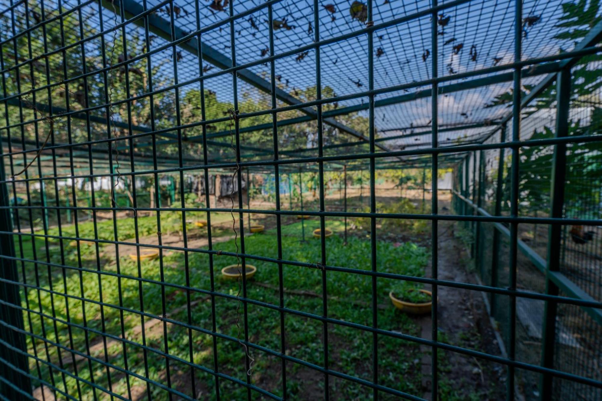 Saffronstays Timber Crest Dehradun Extérieur photo